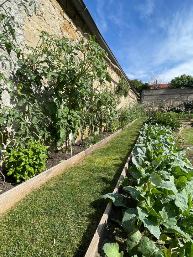 Kräuter- und Gemüsegarten