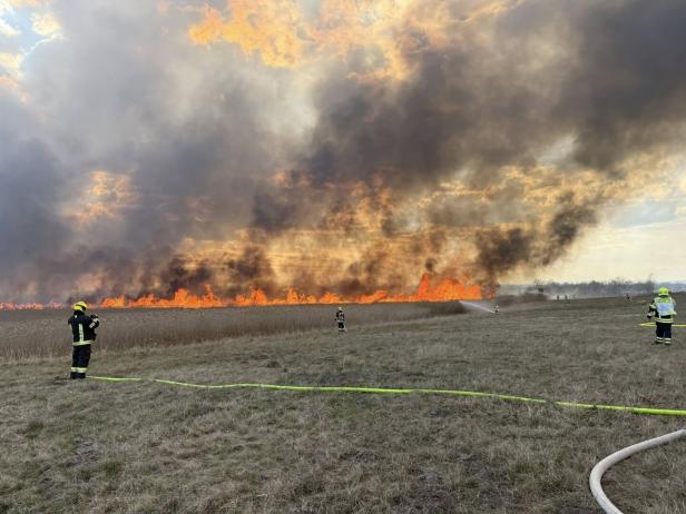 Mehrere Feuerwehrleute bekämpfen einen großen Flächenbrand auf einem Feld, dichter Rauch steigt in den Himmel.