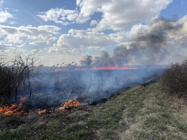 Ein Flurbrand mit Flammen und starker Rauchentwicklung breitet sich neben einem Grasweg aus.