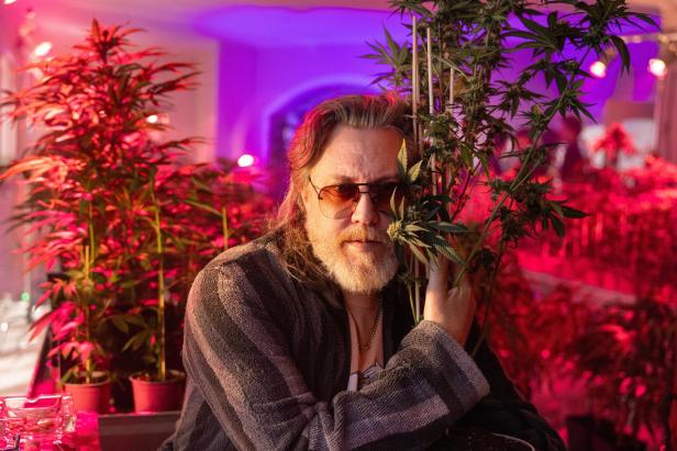 Ein Mann mit Sonnenbrille hält eine Cannabispflanze, umgeben von weiteren Pflanzen unter farbigem Licht.