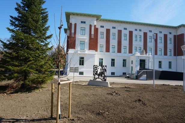 Löwin im Park vor dem Haupthaus des Klinikums.