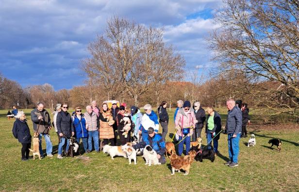 Eine Gruppe von Menschen mit mehreren Hunden versammelt sich auf einer Wiese an einem sonnigen Tag.