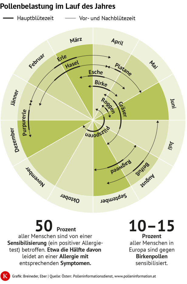 KURIER Grafik Pollenbelastung im Lauf des Jahres