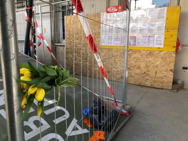 Tulpen hängen an Baugerüst