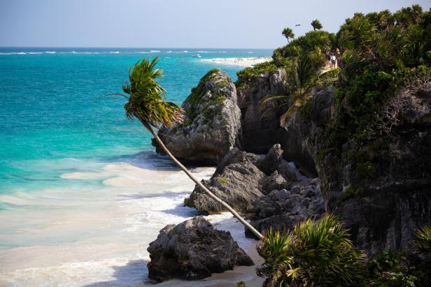 Felsige Küste mit Palmen und türkisblauem Meer bei Tulum auf der Yucatán-Halbinsel.
