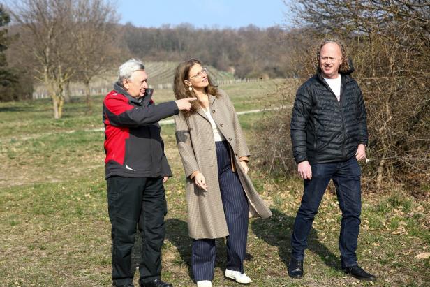 Drei Personen stehen auf einer Wiese, eine Person zeigt auf etwas in der Ferne, die anderen schauen in diese Richtung.