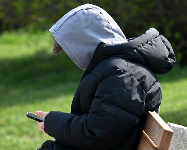 ++ THEMENBILD ++ SOCIAL-MEDIA-VERBOT: REGIERUNGSEINIGUNG ZEICHNET SICH AB