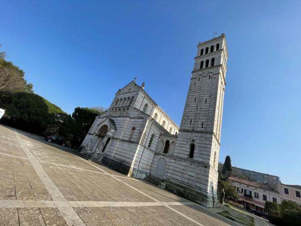 46-223402555