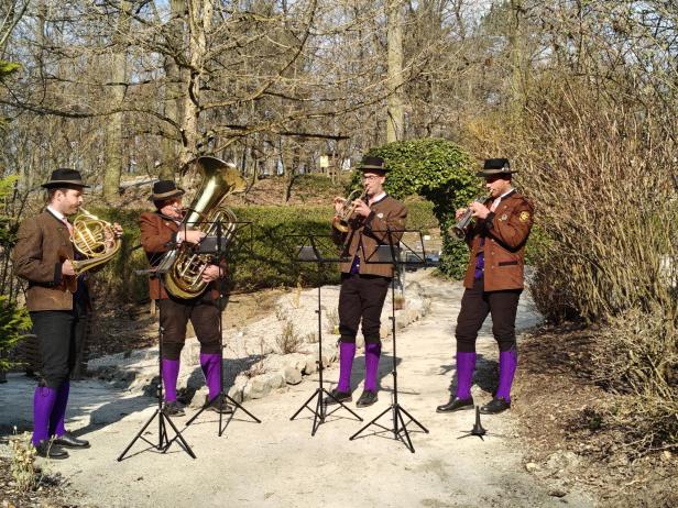 Kristallschädel Maissau