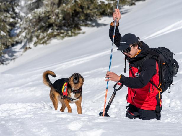 Suche nach Lawinenverschütteten mit dem Suchhund