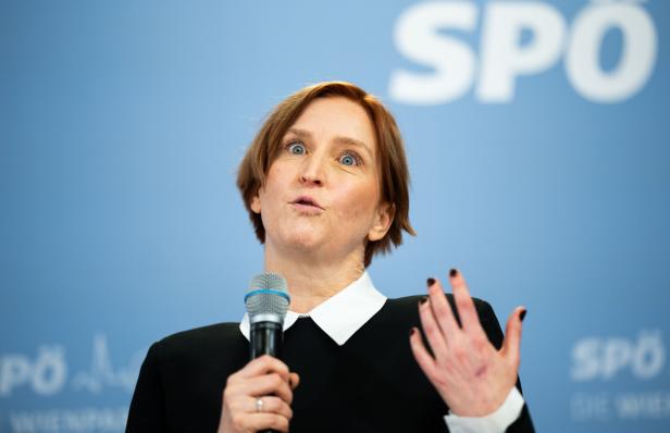 Elke Hanel-Torsch spricht vor einem hellblauen SPÖ-Hintergrund.
