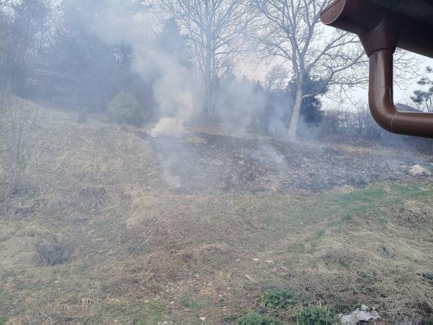 Rauch steigt von einer verbrannten Wiese auf, im Hintergrund stehen Bäume ohne Blätter.