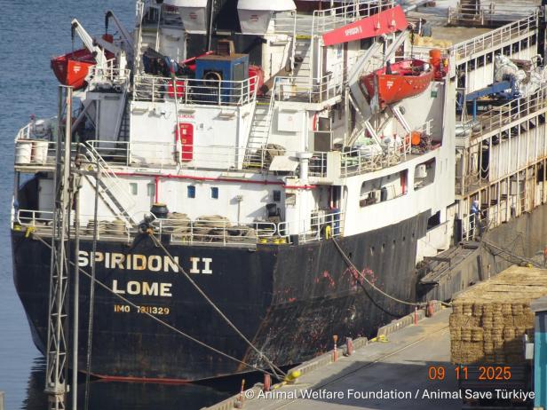 Das Frachtschiff Spiridon II liegt im Hafen, am Kai sind Ballen mit Stroh gestapelt.