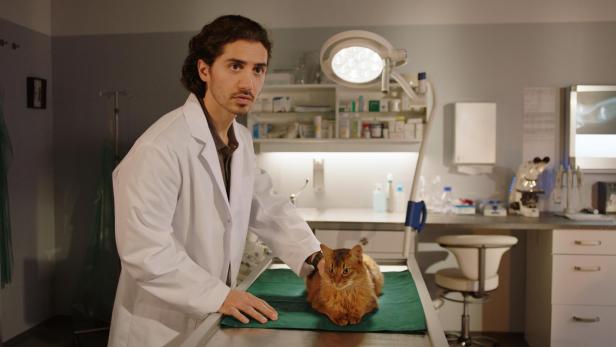 Ein Tierarzt untersucht eine braune Katze auf einem Behandlungstisch in einer modern ausgestatteten Praxis.