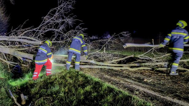 Sturmböen sorgen für Feuerwehreinsätze in Gnas