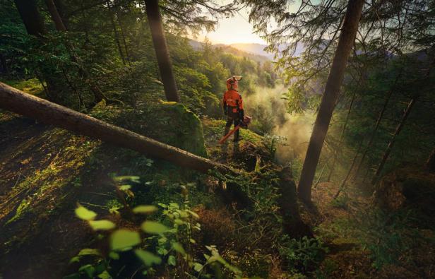 Ein Waldarbeiter in Schutzkleidung steht mit einer Kettensäge in einem dichten Wald.