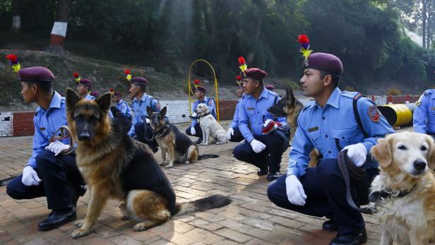 Nepal feiert seine Hunde bei Lichterfest