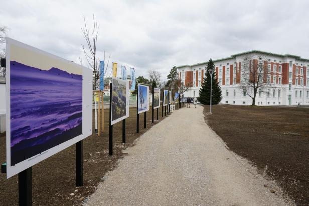 Haus 21 als Ausstellungshaus 