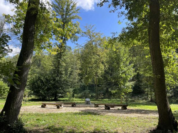 Zwei schlichte Holzbänke stehen in einer sonnigen Lichtung im Klosterwald, umgeben von dichtem, grünem Baumbestand.