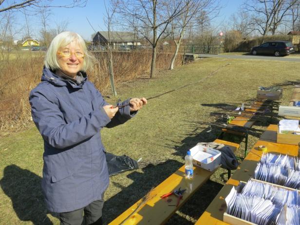 Eine Frau mit heller Jacke steht draußen an einem Tisch mit vielen Papiertüten und Werkzeugen und hält einen Zweig in der Hand.