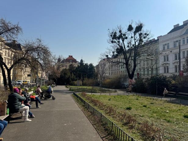 Aumannplatz mit Wiese und Menschen