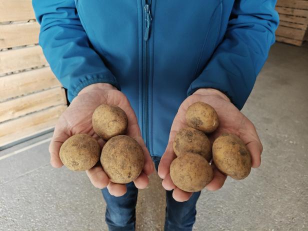 Thomas Mattes Erdäpfel