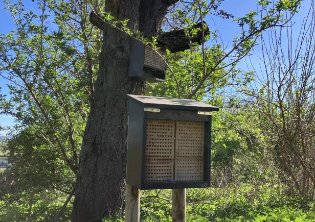 Ein Vogelfutterhaus hängt an einem Baum.
