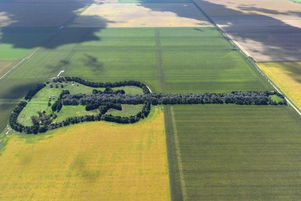 TOPSHOT-ARGENTINA-GUITAR-FARM-TREES