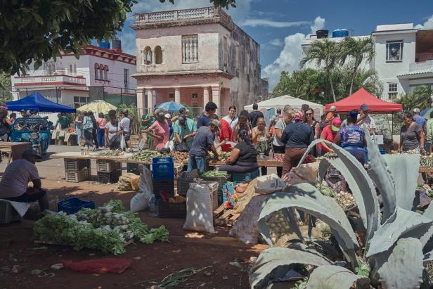 Wochenmarkt jeden Samstag im Stadtteil Miramar
