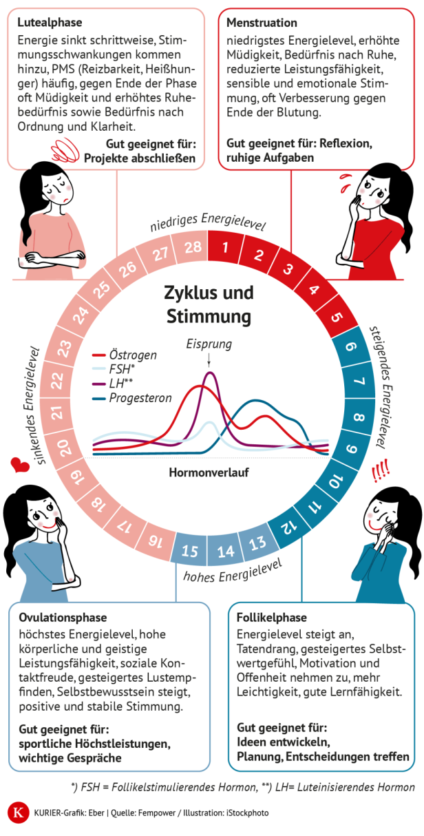 Grafik der vier Phasen des weiblichen Menstruationszyklus.
