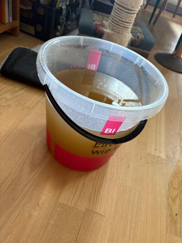 Ein durchsichtiger Eimer mit trübem, gelblich-braunem Wasser steht auf einem Holzboden neben einem Kratzbaum.