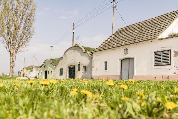 Die Kellergasse des Kamptaler Weinfrühlings