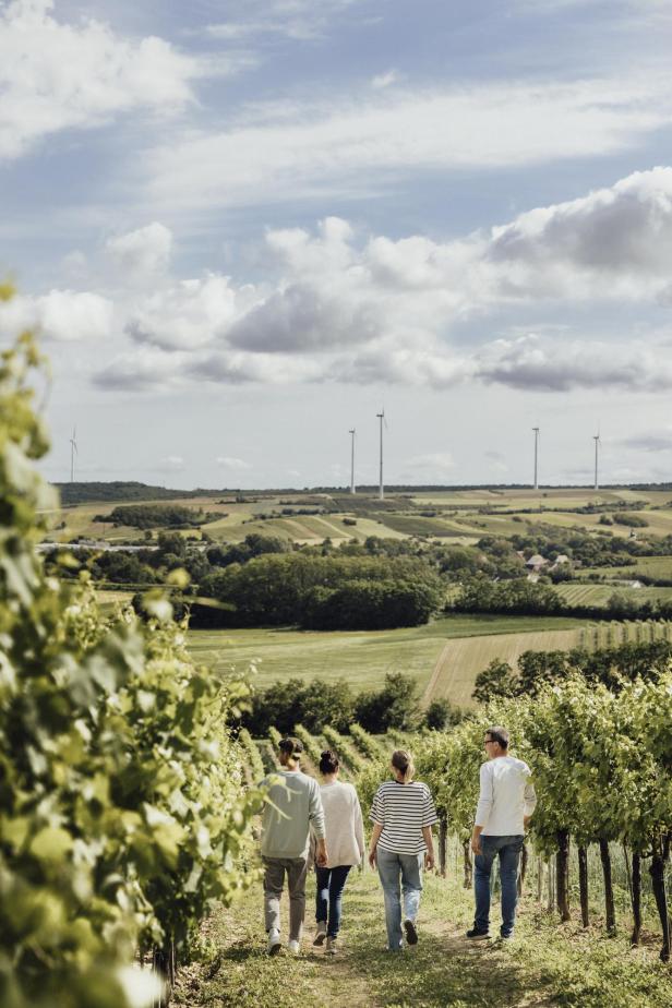 Menschen spazieren durch die frühlingshaften Weingärten