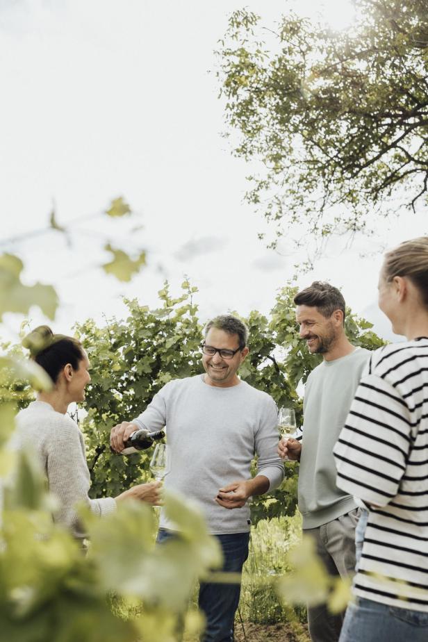 Eine Gruppe Menschen verkostet Wein in Weingärten in Niederösterreich