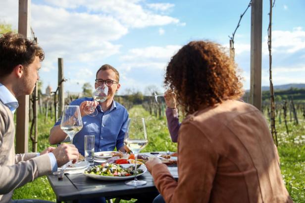 Menschen trinken Wein und essen Jause im Weingarten