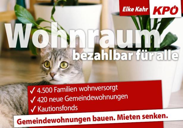 Eine Katze liegt vor dem Slogan "Wohnraum bezahlbar für alle" und dem KPÖ-Logo