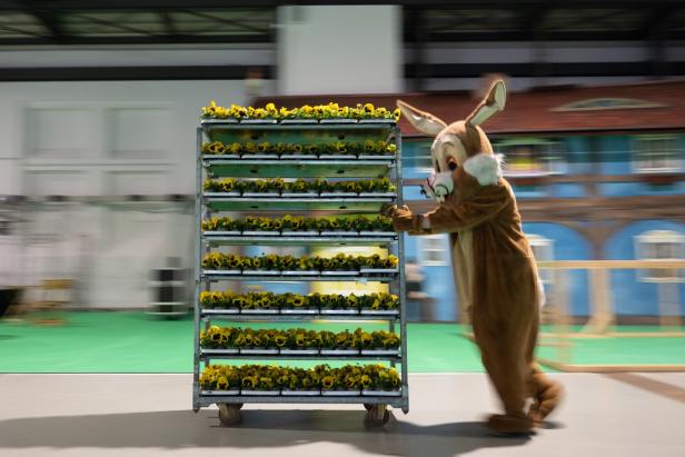 Messe Dresdner Ostern