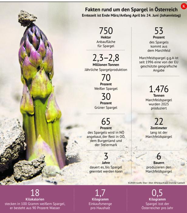 Grafik zu Spargel in Österreich