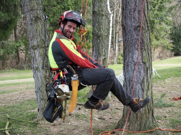 Ein Mann mit Schutzkleidung und Helm sitzt gesichert an einem Seil zwischen Bäumen und trägt eine Motorsäge am Gürtel.