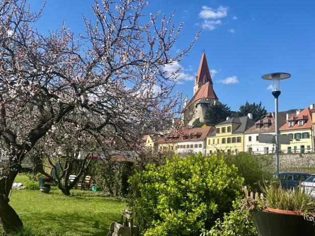 Blühender Baum im Vordergrund, dahinter bunte Häuserreihe und eine Kirche mit spitzem Turm unter blauem Himmel.