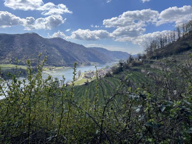 Fluss schlängelt sich durch ein Tal mit Weinbergen, Bergen im Hintergrund und teils bewölktem Himmel.