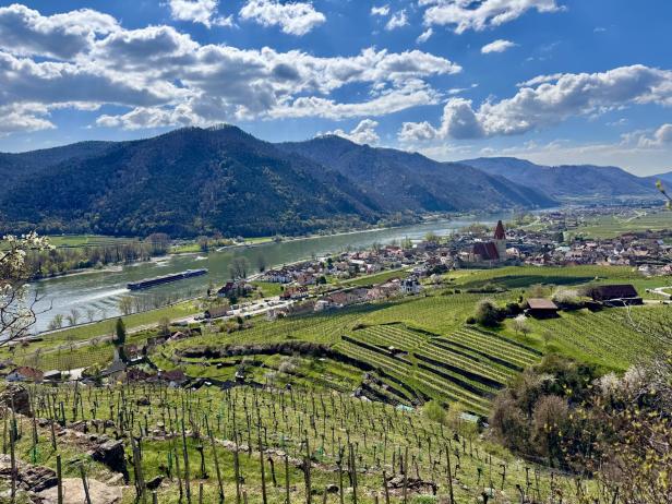 Weinberge an einem Fluss mit einem Dorf, einer Kirche mit rotem Dach und bewaldeten Bergen im Hintergrund unter teils bewölktem Himmel.