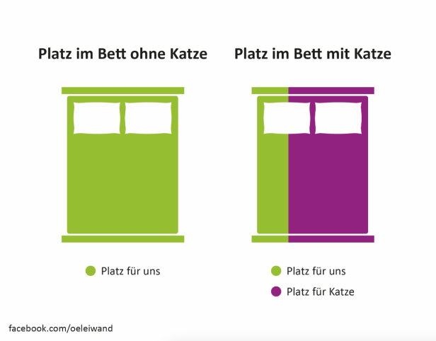 Grafik, die zeigt, dass man ohne Katze das ganze Bett für sich hat, mit Katze aber nur mehr ein Drittel des Bettes. 