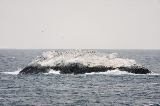 Neue Insel in Antarktis entdeckt