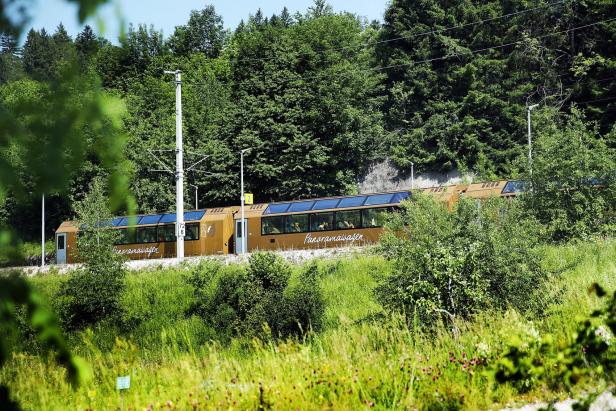 Goldfarbener Panoramawagen der Mariazellerbahn fährt durch grüne, bewaldete Landschaft.