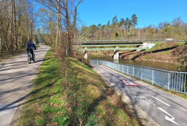 Radweg durch die Forstheide