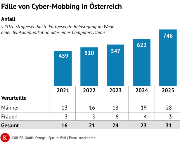 Grafik zu Anzeigen und Verurteilungen