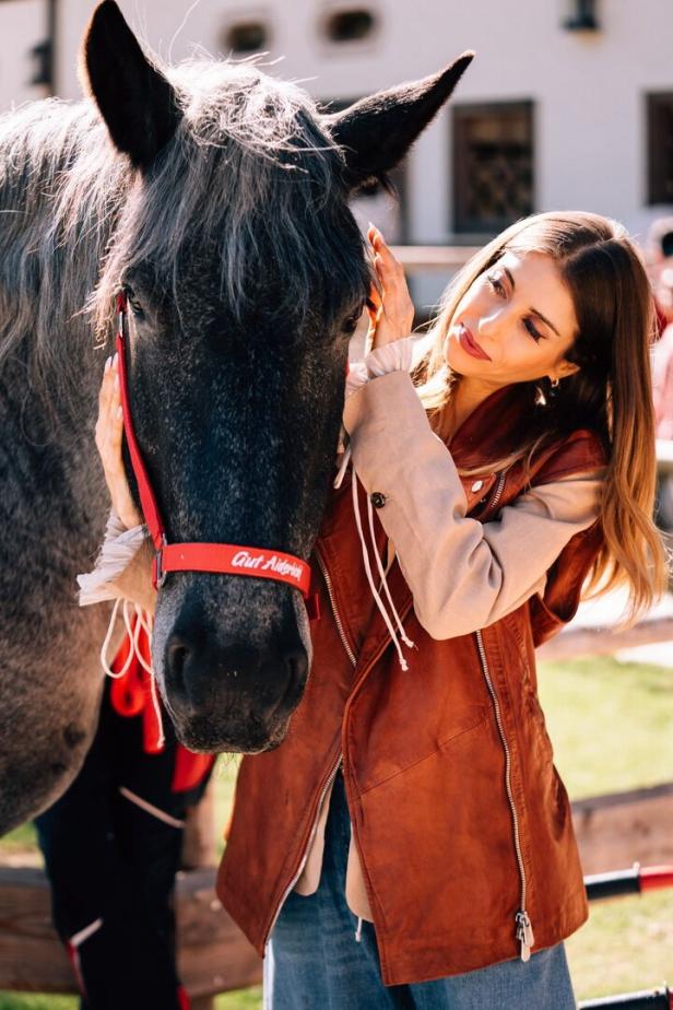 Eine Frau streichelt liebevoll ein graues Pferd mit rotem Halfter.