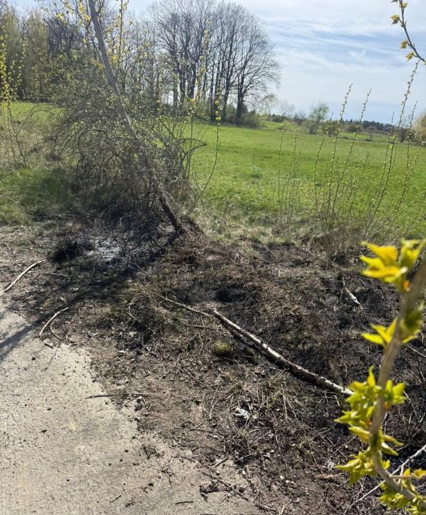 Abgebrannte Böschung