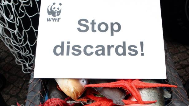 Ein Schild mit der Aufschrift „Stop discards!“ liegt über einem Netz mit toten Fischen und Seesternen.